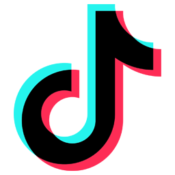 TikTok Custom Audiences logo