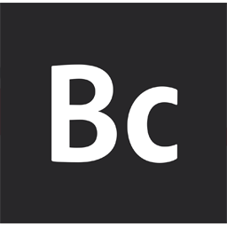 Adobe Business Catalyst logo
