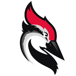 Woodpecker logo